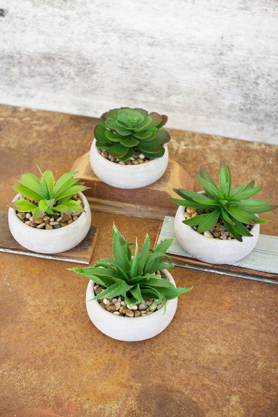 set of 4 artificial succulents in low round cement pots