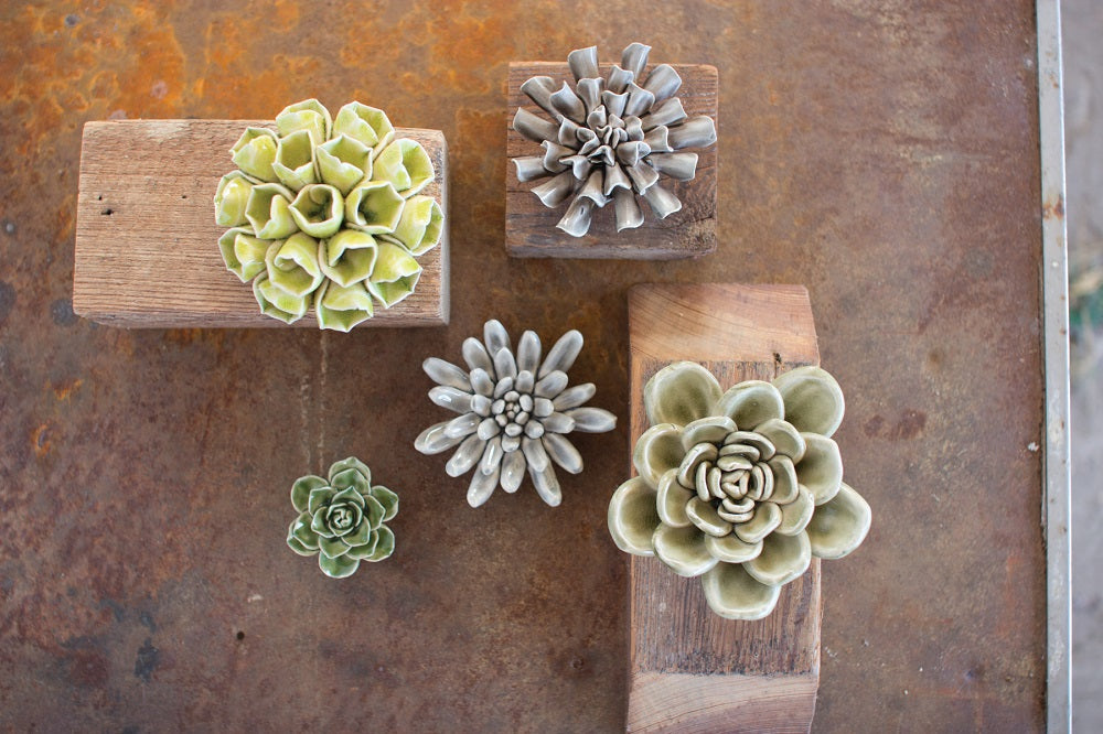 Greys and Greens Ceramic Succulents - Set of 5