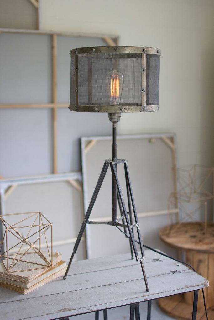 Table Lamp with Wire Mesh Shade
