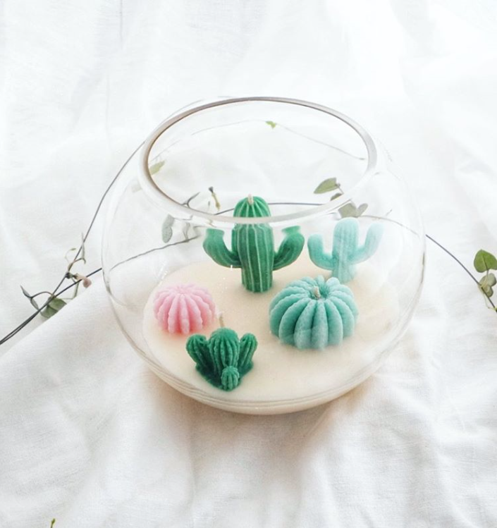 Handcrafted Cactus Soy Candles