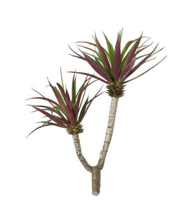 Artificial Wispy Aloe Plant- Set of 6