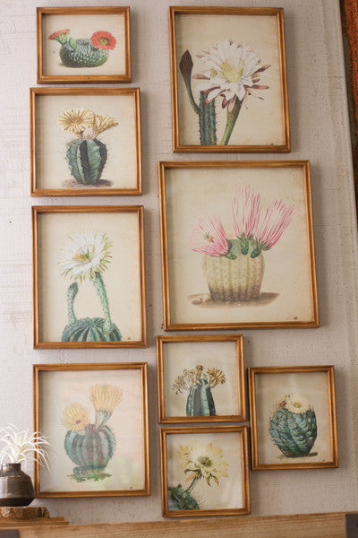 set of 9 cactus flower prints under glass