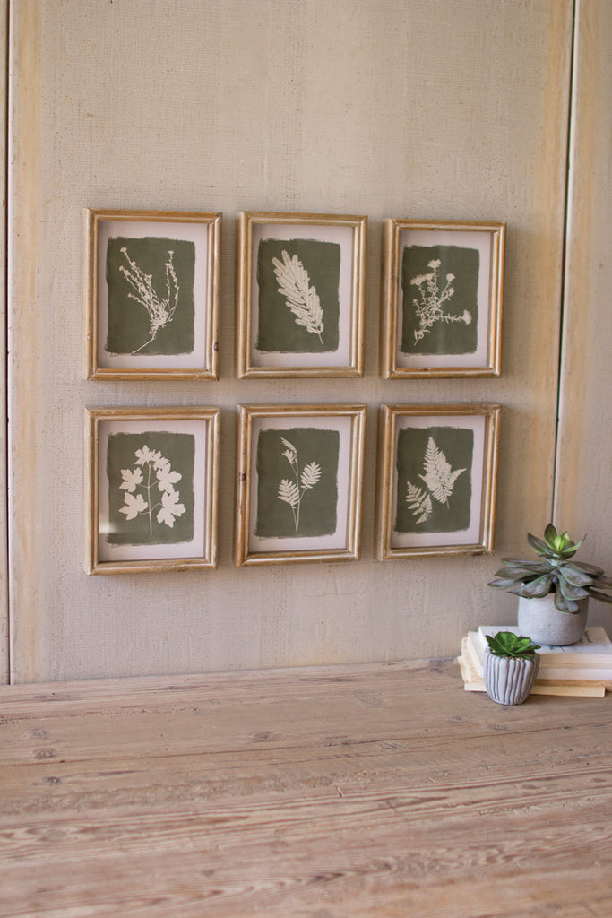 set of 6 fern prints under glass