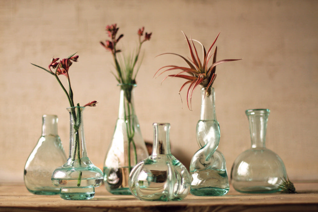 Bottle Bud Vases - Set of 6