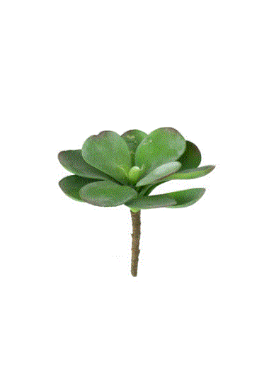 Artificial Paddle Plant - Set of 6