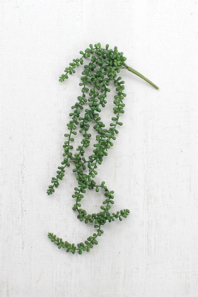 Artificial Necklace Fern Succulent - Set of 6